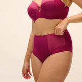 Fantasie Evolution Ruby High Waisted Full brief