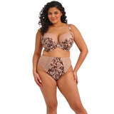 Elomi Lucie Wildcat High Leg Deep Brief