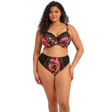 Elomi Morgan Hot House Full Brief